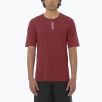 Vyriški bėgimo marškinėliai  Salomon Ultra Tee syrah