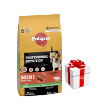 PEDIGREE sausas maistas mažų veislių šunims su jautiena ir daržovėmis 12 kg + Staigmena Šunui