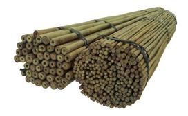 Bambukinės lazdos 150 cm 24/26 mm, 50 vnt.