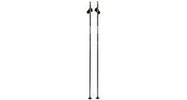 SWIX Dynamic D2 black/blue cross country skiing poles