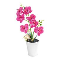 Realistiška orchidėja Dirbtinė orchidėja Svetainei Realistiški žiedlapiai Pikselių audinys Minkšta ryški išvaizda Nereikia laistyti violetinė
