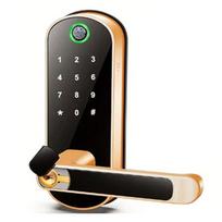 Tuya Wifi Smart Fingerprint Door Lock App Remote Control Keyless WIFI Digital Touchscreen Lock NFC IP67 auksas