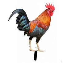 Animal Statue Garden Stakes Ornament Standing Chicken Sculpture Easter Decor Yard Sign Color B