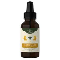 Nanga Propolis Extract 20% lašai – 100 ml