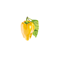 Click and Grow Refill 3-Pack - Sweet Yellow Peppers