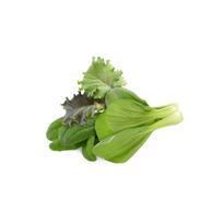 Click and Grow Refill 9-pack - Asian Cuisine Mix