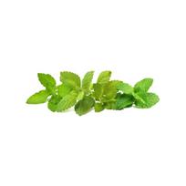 Click and Grow Refill 9-pack - Calming Tea Mix