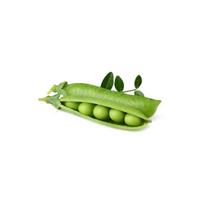 Click and Grow Refill 3-pack - Dwarf Pea