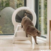 “Litter-Robot 4” laipteliai - Balta