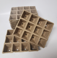 Biosuyrančios daigyklos 21x17x4,5 cm, 12 narelių
