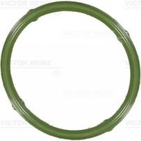 Įsiurbimo kolektoriaus tarpinė REINZ 71-36066-00