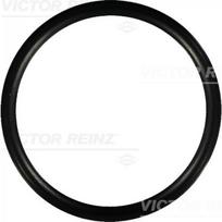 Įsiurbimo kolektoriaus tarpinė REINZ 40-76752-00