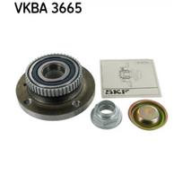 Rato guolio komplektas SKF VKBA 3665