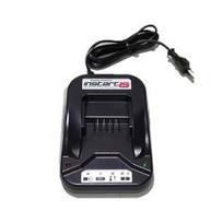 Baterijos įkroviklis BRIGGS&STRATTON Instart BS EU jungtis