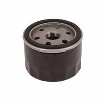 Alyvos filtras HUSQVARNA B&S 492932S