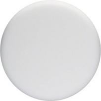 Poliravimo kempinė BOSCH GPO14 CE 170mm, minkšta