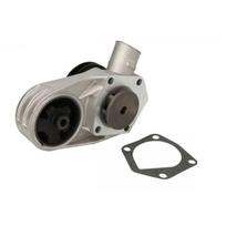 Vandens siurblys THERMOTEC D1S002TT
