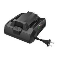Standartinis įkroviklis EGO Power+ CH3200E 320W