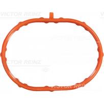 Įsiurbimo kolektoriaus tarpinė REINZ 71-53796-00