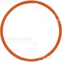 Įsiurbimo kolektoriaus tarpinė REINZ 71-40258-00