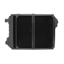 Variklio aušinimo radiatorius THERMOTEC D7AG134TT