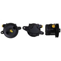 Vairo sistemos hidraulinis siurblys DRI 715520865