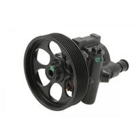 Vairo sistemos hidraulinis siurblys LAUBER 55.4300