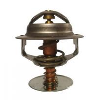 Alyvos radiatoriaus termostatas THERMOTEC D2MT001TT
