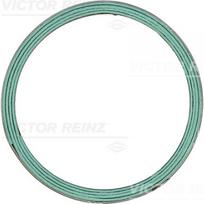 Išmetimo kolektoriaus tarpinė REINZ 71-12140-00