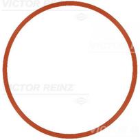 Įsiurbimo kolektoriaus tarpinė REINZ 71-17585-00