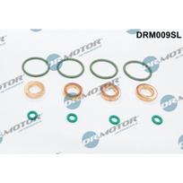 Purkštuko tarpinių rinkinys Dr.Motor Automotive DRM009SL