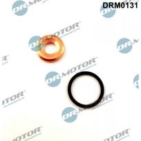 Purkštuko tarpinių rinkinys Dr.Motor Automotive DRM0131