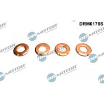 Purkštuko tarpinių rinkinys Dr.Motor Automotive DRM0178S