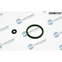 Purkštuko tarpinių rinkinys Dr.Motor Automotive DRM0187