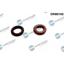 Purkštuko tarpinių rinkinys Dr.Motor Automotive DRM0186
