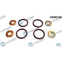 Purkštuko tarpinių rinkinys Dr.Motor Automotive DRM018S