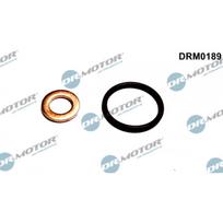 Purkštuko tarpinių rinkinys Dr.Motor Automotive DRM0189