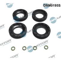 Purkštuko tarpinių rinkinys Dr.Motor Automotive DRM0195S