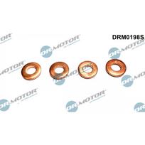 Purkštuko tarpinių rinkinys Dr.Motor Automotive DRM0198S