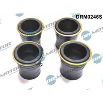 Purkštuko tarpinių rinkinys Dr.Motor Automotive DRM0246S