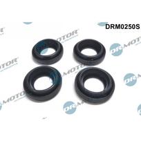 Purkštuko tarpinių rinkinys Dr.Motor Automotive DRM0250S