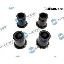 Purkštuko tarpinių rinkinys Dr.Motor Automotive DRM0263S