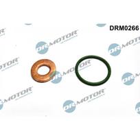 Purkštuko tarpinių rinkinys Dr.Motor Automotive DRM0266