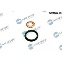 Purkštuko tarpinių rinkinys Dr.Motor Automotive DRM0418