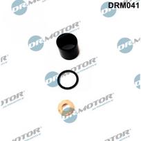Purkštuko tarpinių rinkinys Dr.Motor Automotive DRM041