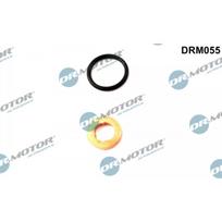 Purkštuko tarpinių rinkinys Dr.Motor Automotive DRM055