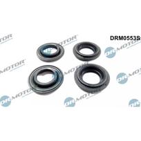 Purkštuko tarpinių rinkinys Dr.Motor Automotive DRM0553S