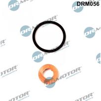 Purkštuko tarpinių rinkinys Dr.Motor Automotive DRM056