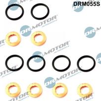 Purkštuko tarpinių rinkinys Dr.Motor Automotive DRM055S