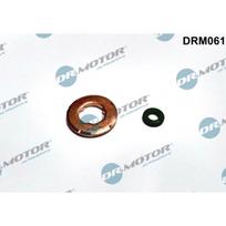 Purkštuko tarpinių rinkinys Dr.Motor Automotive DRM061